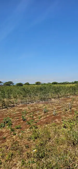 7 Acres Along Meru Ruiri Isiolo Rd Touching Tarmac