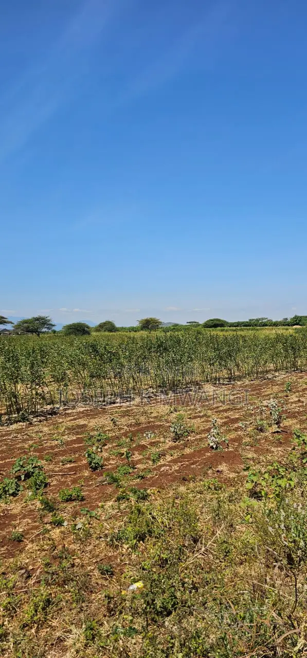 7 Acres Along Meru Ruiri Isiolo Rd Touching Tarmac