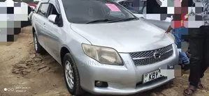 Toyota Corolla Fielder 2007 Silver
