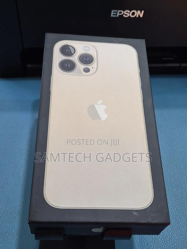 New Apple iPhone 13 Pro Max 256 GB Gold - main view