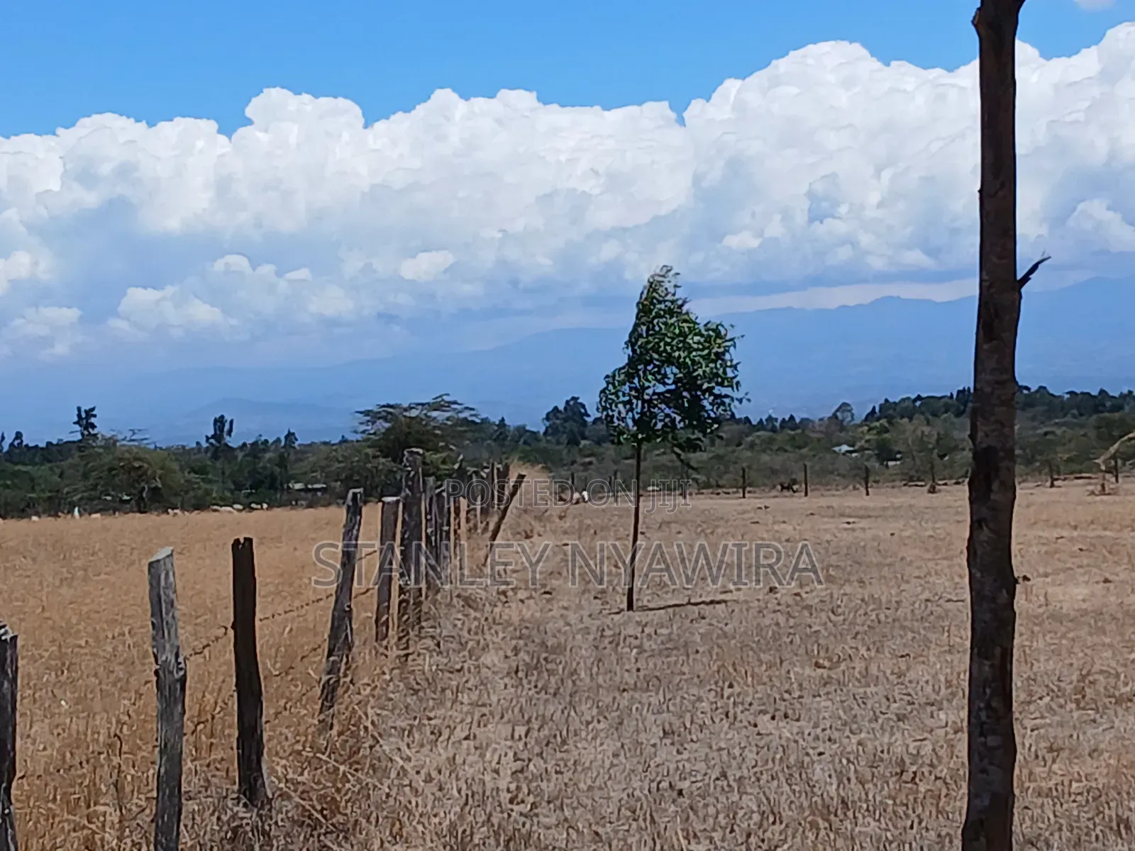 Distress Sale 4 Acrea Nanyuki Burgret