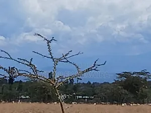 Distress Sale 4 Acrea Nanyuki Burgret