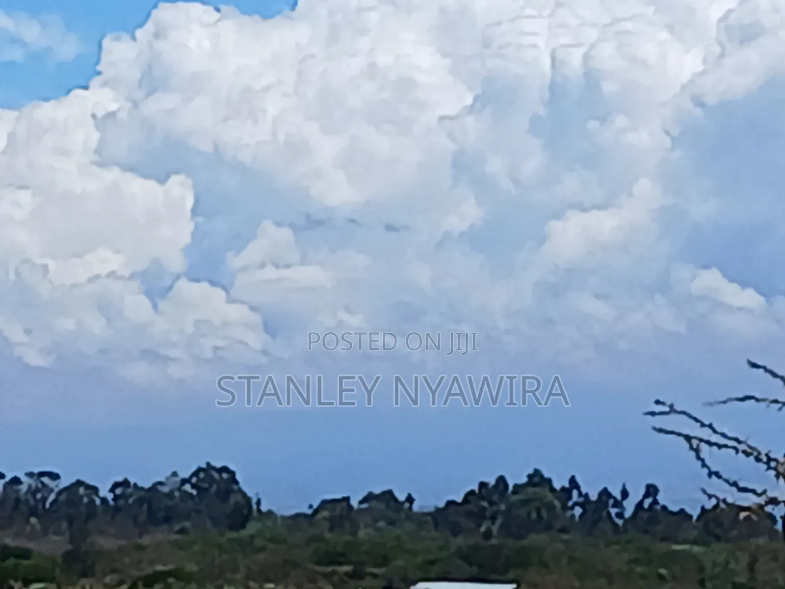 Distress Sale 4 Acrea Nanyuki Burgret