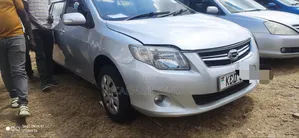 Toyota Corolla Fielder 2008 Silver