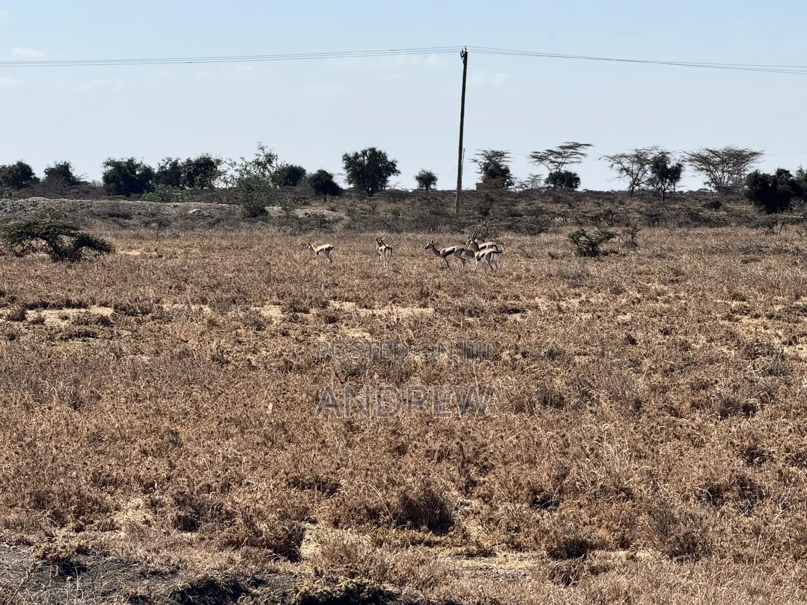 2 Acres Land for Sale