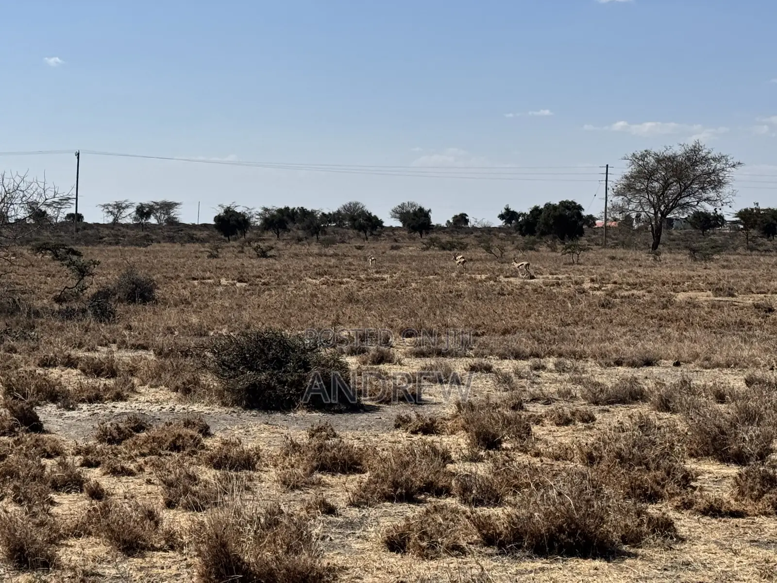 2 Acres Land for Sale