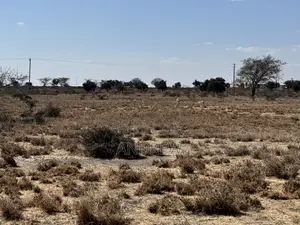 2 Acres Land for Sale