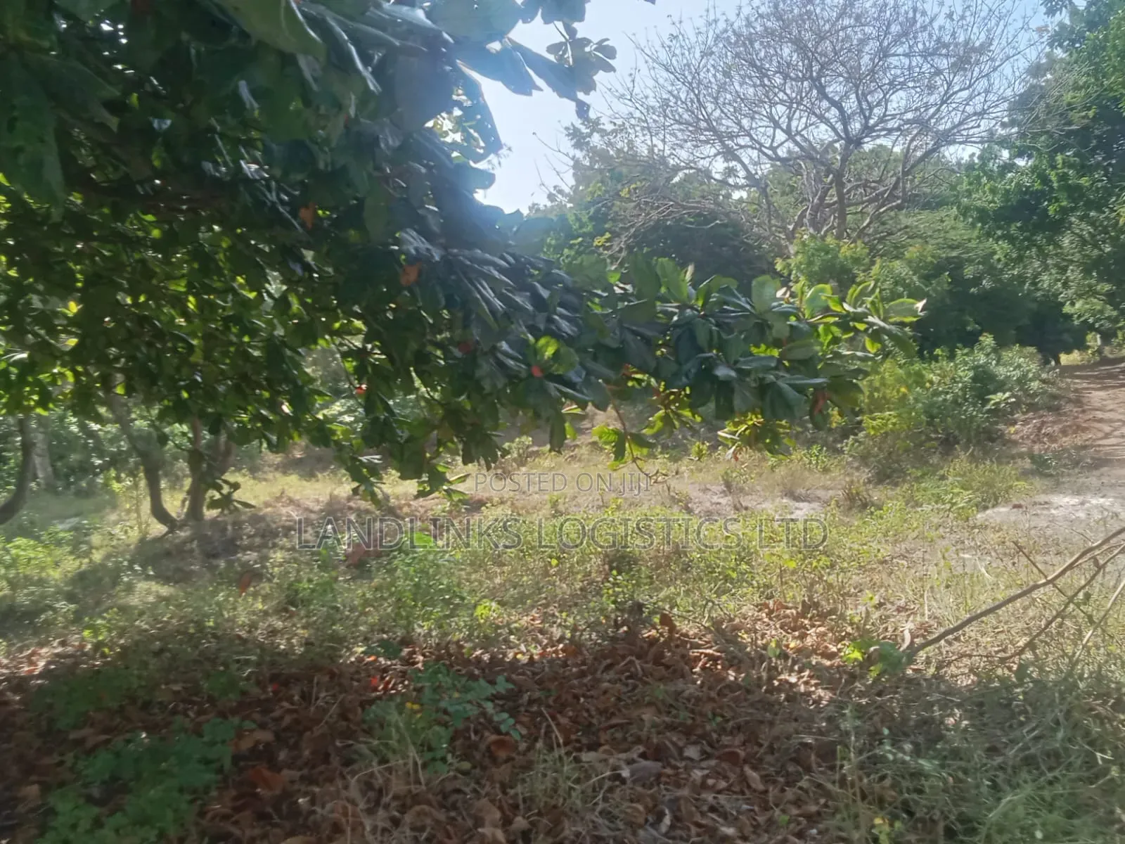 Dian Beach 3 Acres Front for Hotel, Villa, Beach.