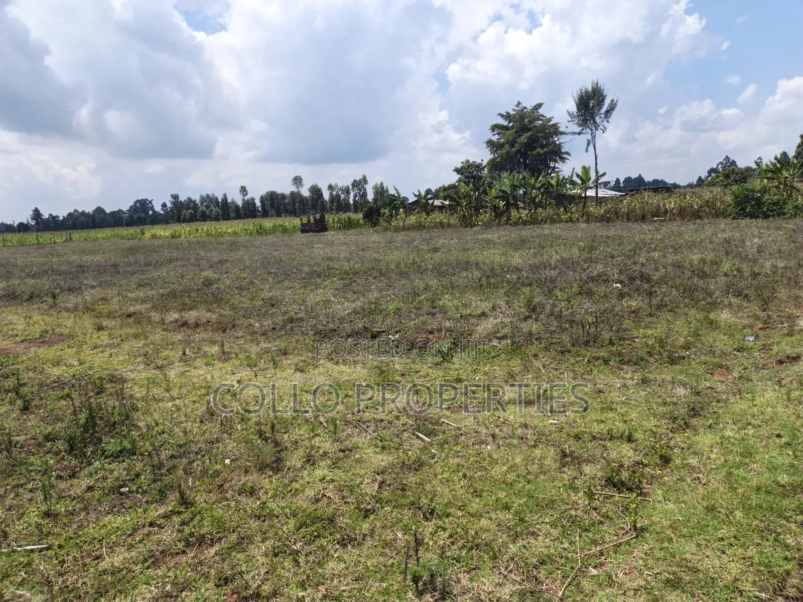 Plot on Sale