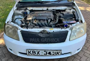 Toyota Corolla Fielder 1.5 Petrol FWD 2006 White