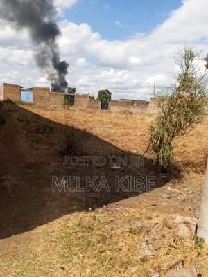 Kiganjo Thika Plots