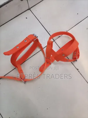 Pole Climber Straps