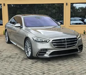 Mercedes-Benz S-Class S 500 (W222) 2020 Gray