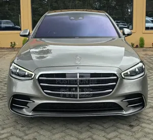Mercedes-Benz S-Class S 500 (W222) 2020 Gray