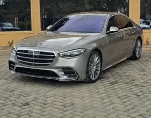 Mercedes-Benz S-Class S 500 (W222) 2020 Gray