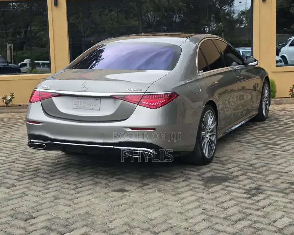 Mercedes-Benz S-Class S 500 (W222) 2020 Gray