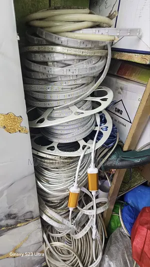 Snake Lights