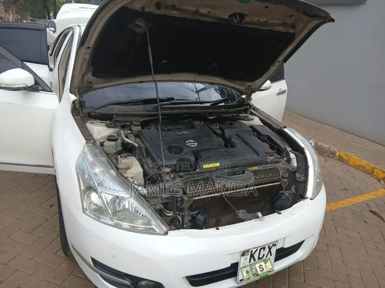 Nissan Teana 2013 Pearl