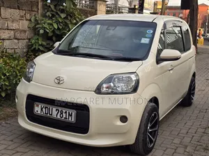 Toyota Porte 2018 Brown