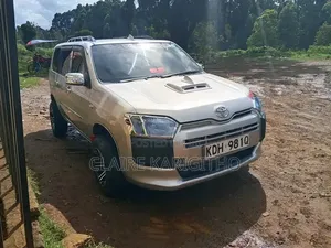 Toyota Probox 1.5 DX 2WD 2014 Gold