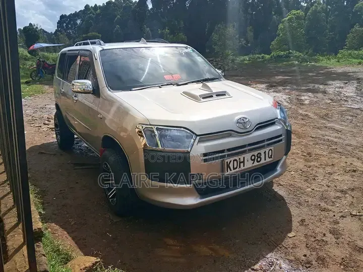 Toyota Probox 1.5 DX 2WD 2014 Gold