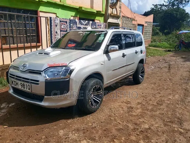 Toyota Probox 1.5 DX 2WD 2014 Gold