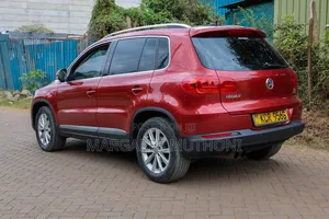 Volkswagen Tiguan 2011 Maroon