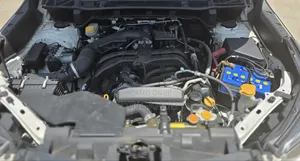 Subaru Forester 2019 Pearl