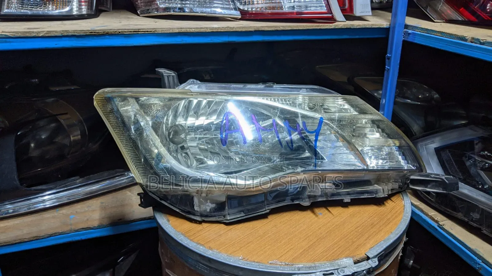 Filder 2012 Mon Xenon Headlight