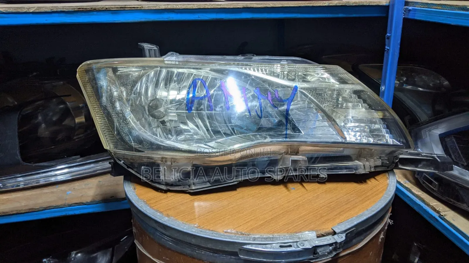 Filder 2012 Mon Xenon Headlight