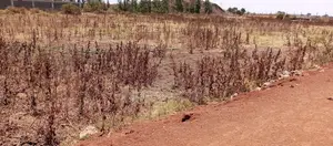 Land for Lease in Eastern Bypass