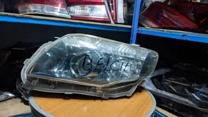 Filder 2010 Xenon Headlight
