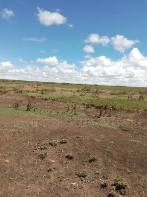Leasing 2000acres