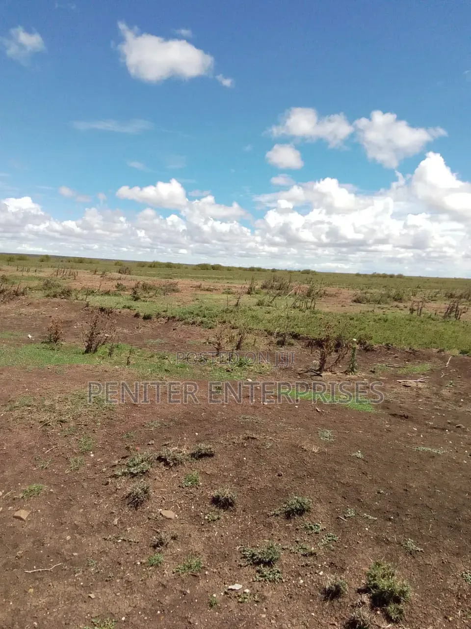 Leasing 2000acres