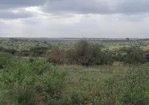 Leasing 2000acres