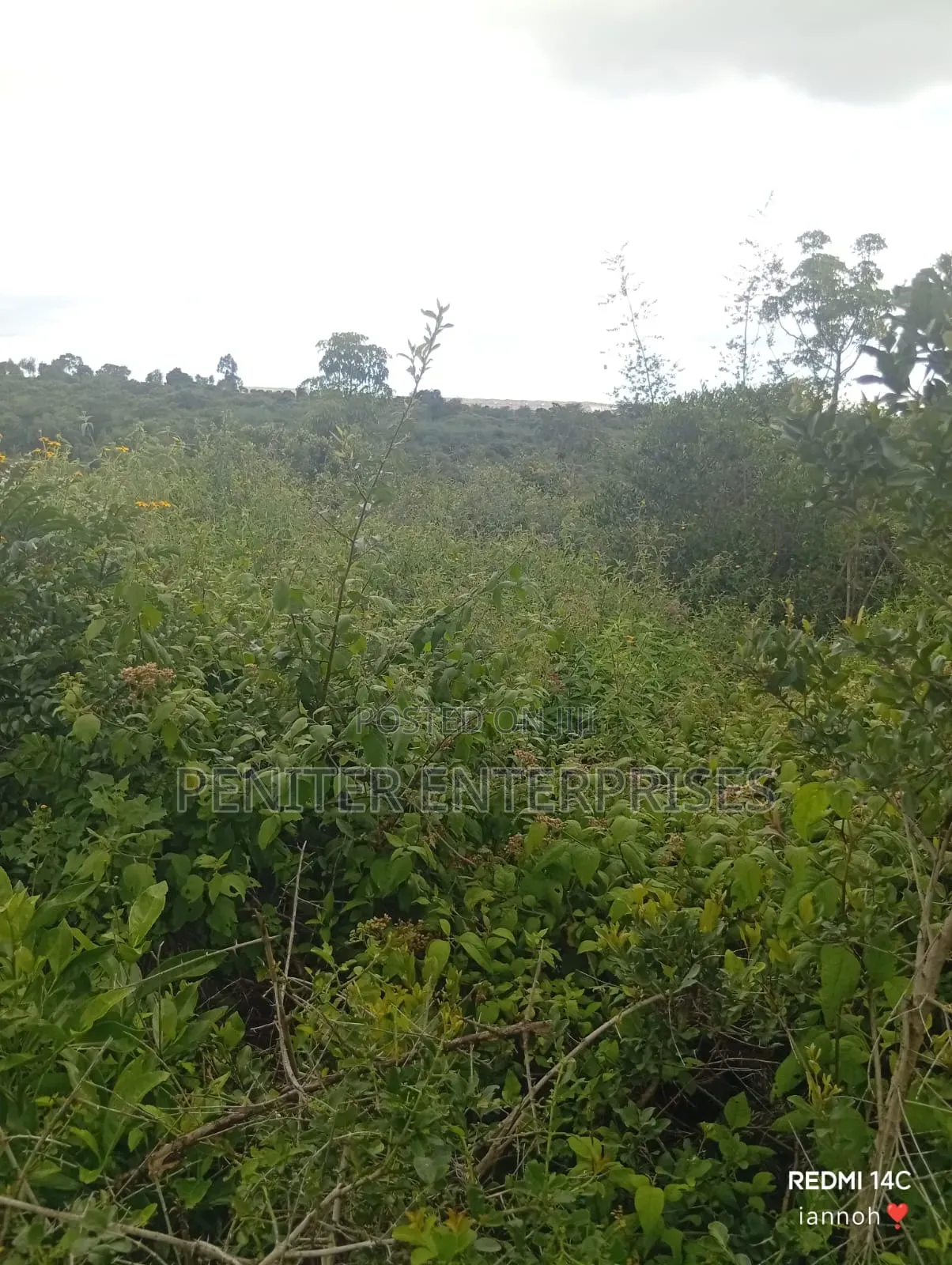 Leasing 2000acres