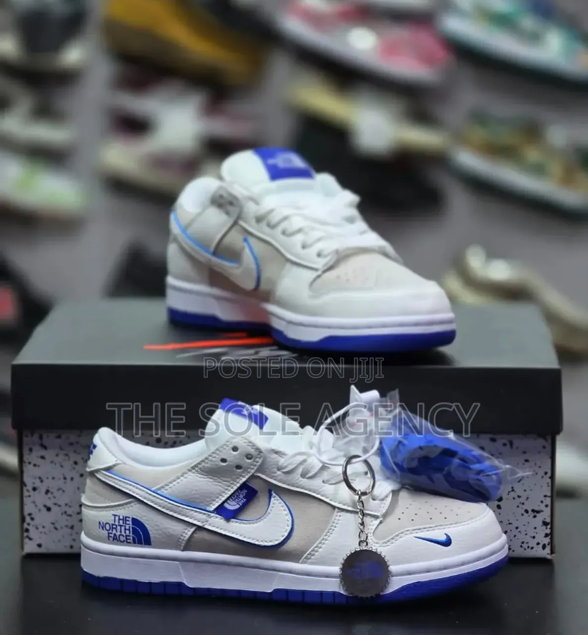 Nike SB Custom