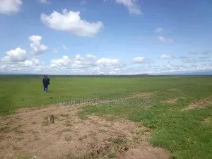 Leasing 2000acres