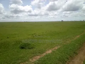 Leasing 2000acres