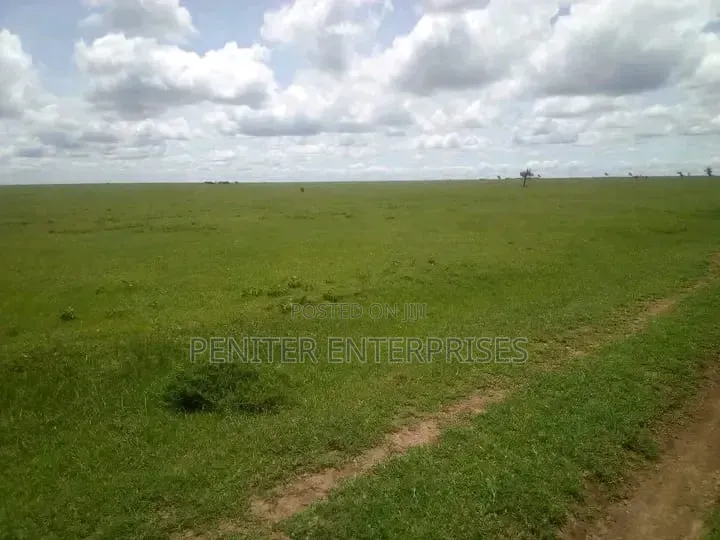 Leasing 2000acres