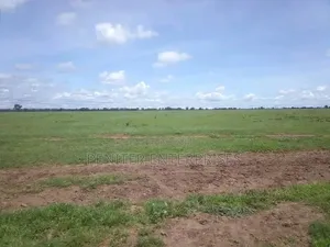 Leasing 2000acres