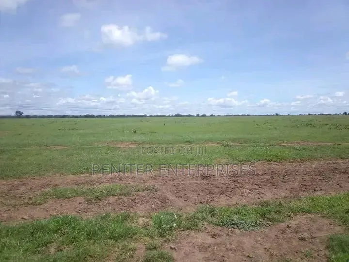 Leasing 2000acres