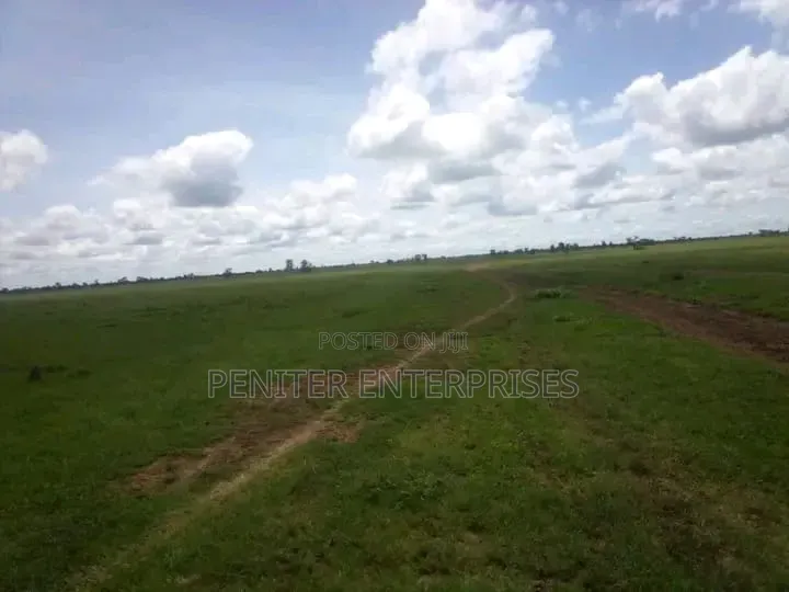 Leasing 2000acres