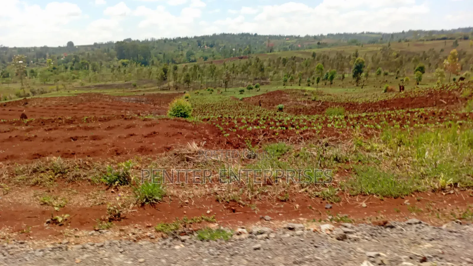 Leasing 2000acres
