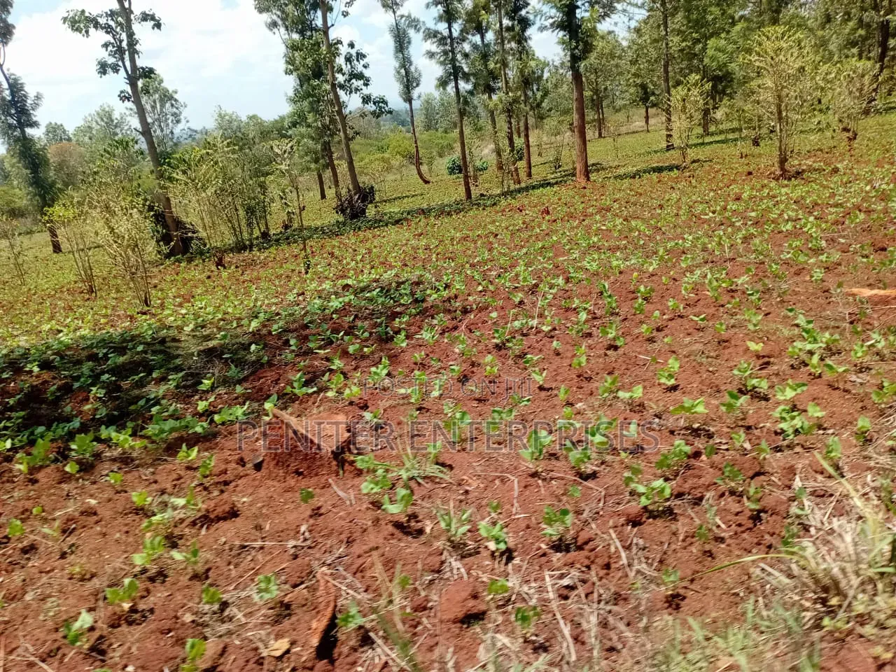 Leasing 2000acres