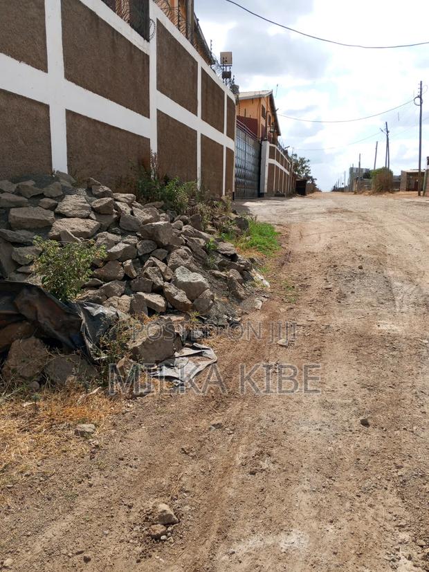 Kiganjo Muthaiga Touching Main Road