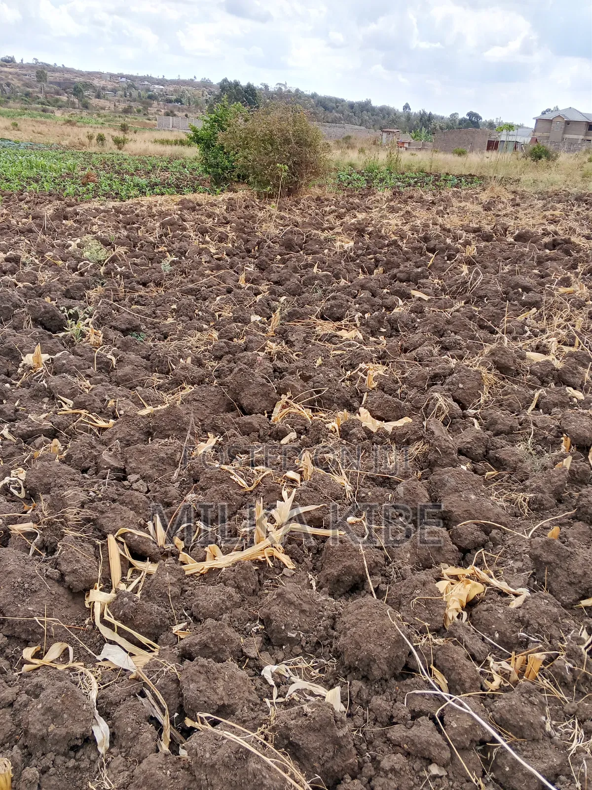 Kiganjo Mali Plot