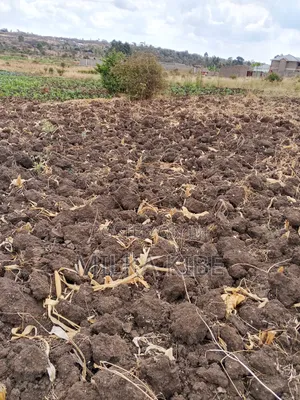 Kiganjo Mali Plot