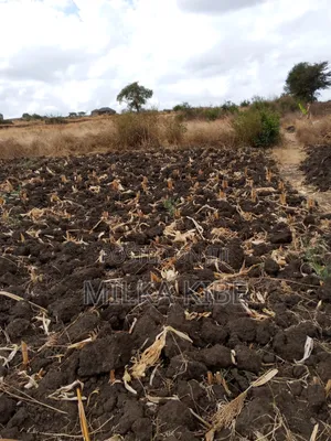 Kiganjo Mali Plot