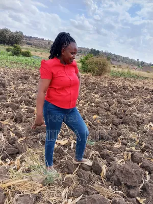 Kiganjo Mali Plot